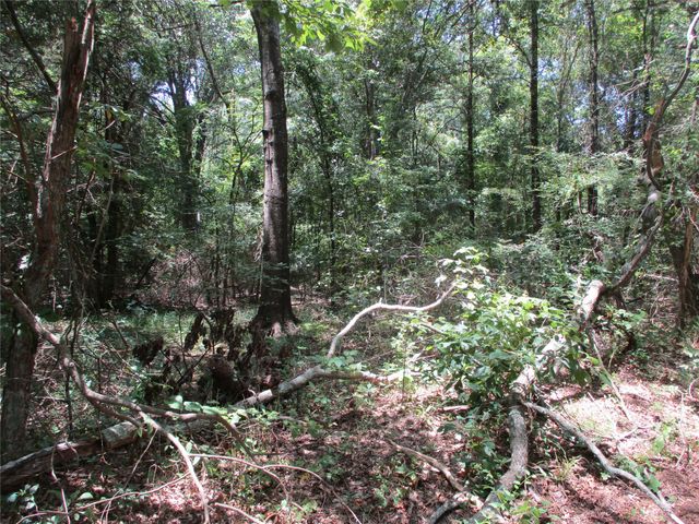 517 Rains County Road 1275, Emory, TX 75440