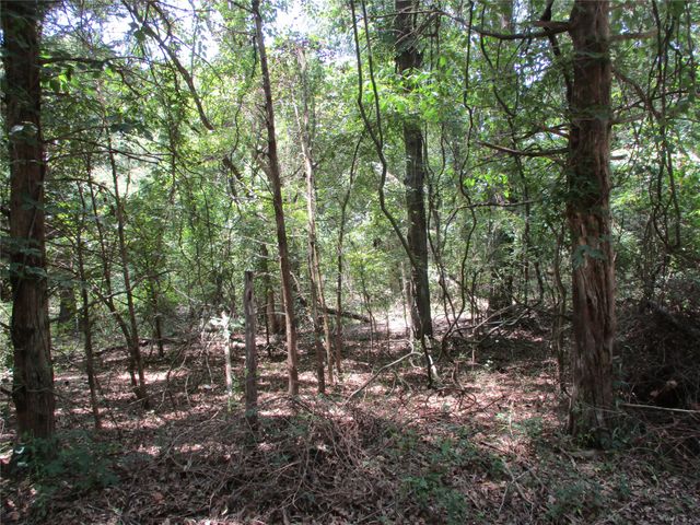 517 Rains County Road 1275, Emory, TX 75440