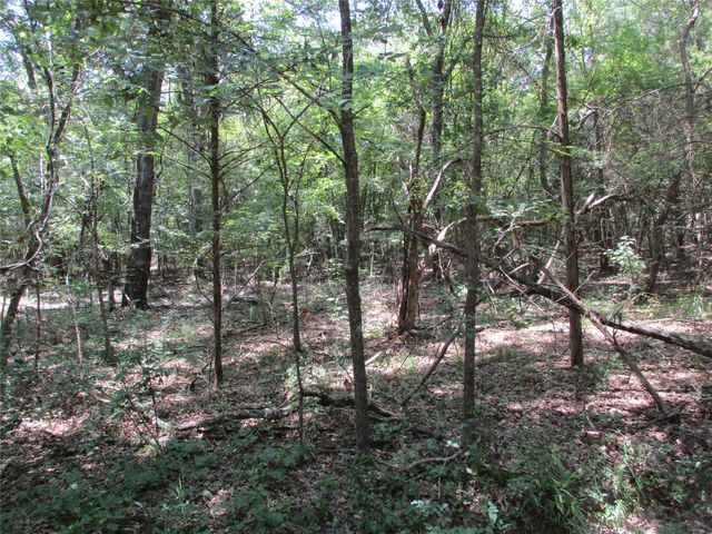 517 Rains County Road 1275, Emory, TX 75440