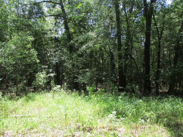 517 Rains County Road 1275, Emory, TX 75440
