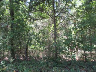 517 Rains County Road 1275, Emory, TX 75440