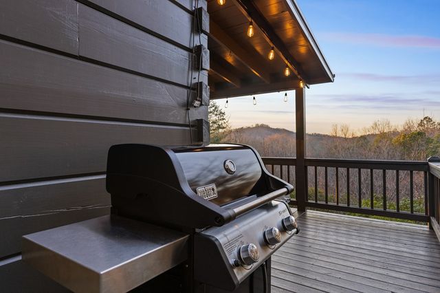 118 Lakota Lane, Mineral Bluff, GA 30559