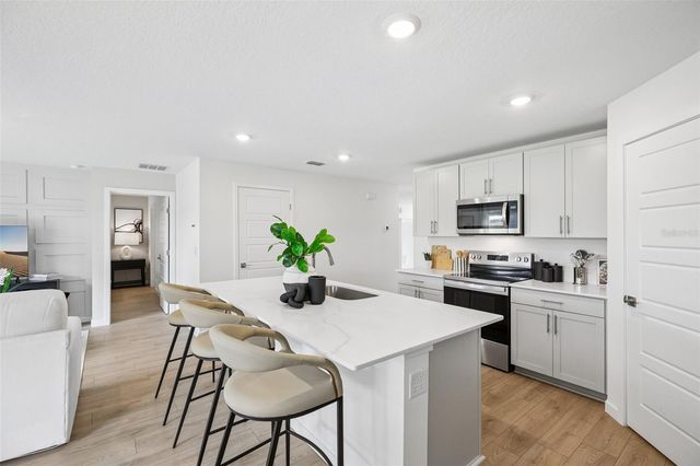 223 SKYFIELD COURT, Lady Lake, FL 32159