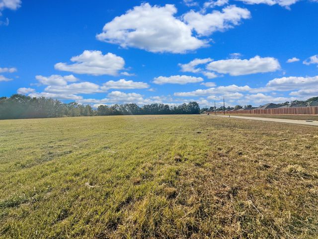 TBD Blooming Rose Meadow, Tomball, TX 77377