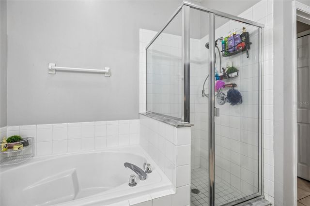 1982 LOCUST BERRY DRIVE, Kissimmee, FL 34743