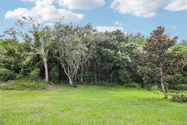 1982 LOCUST BERRY DRIVE, Kissimmee, FL 34743