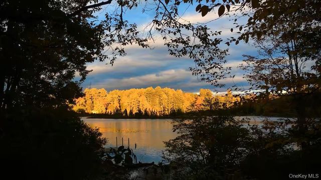 35 Cumberland Trail, Smallwood, NY 12720