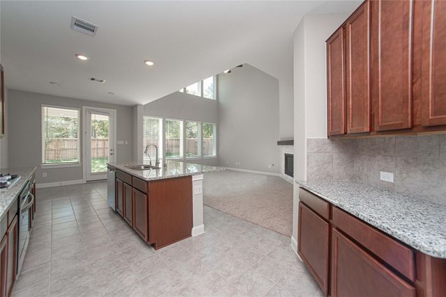 2224 Gadwall Court, Conroe, TX 77384