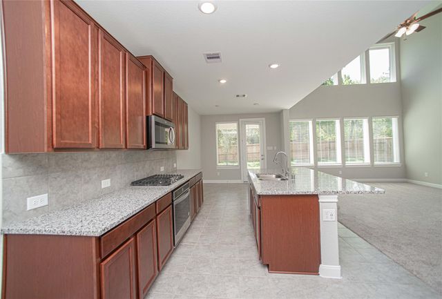 2224 Gadwall Court, Conroe, TX 77384