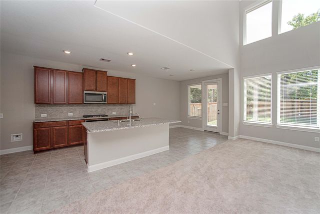 2224 Gadwall Court, Conroe, TX 77384