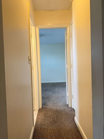 49 Sumner Street 4, Stoughton, MA 02072