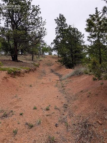 16 Princess Lane, Cripple Creek, CO 80813