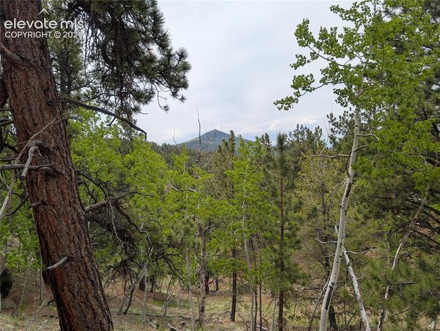 16 Princess Lane, Cripple Creek, CO 80813