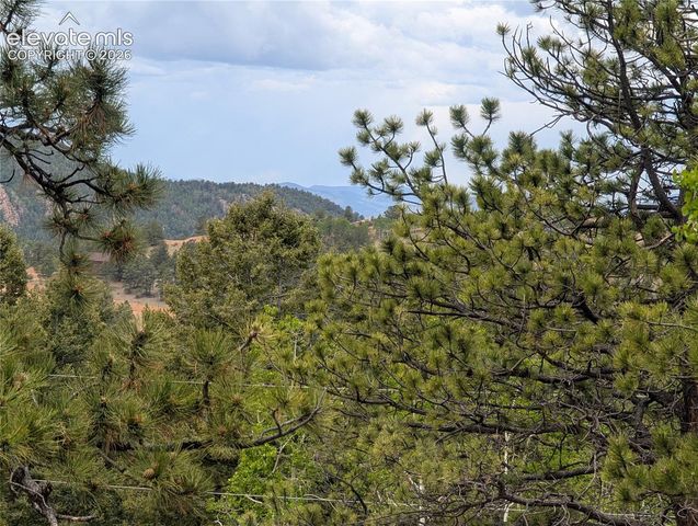 16 Princess Lane, Cripple Creek, CO 80813