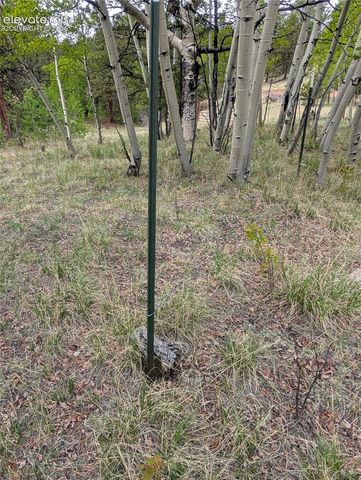 16 Princess Lane, Cripple Creek, CO 80813