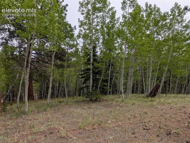 16 Princess Lane, Cripple Creek, CO 80813