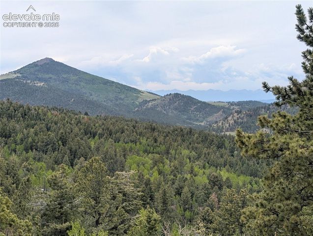 16 Princess Lane, Cripple Creek, CO 80813