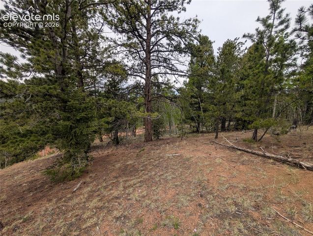 16 Princess Lane, Cripple Creek, CO 80813