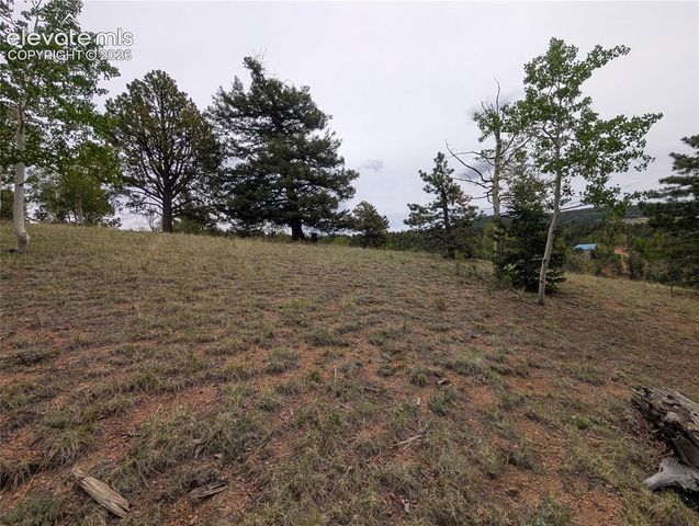 16 Princess Lane, Cripple Creek, CO 80813