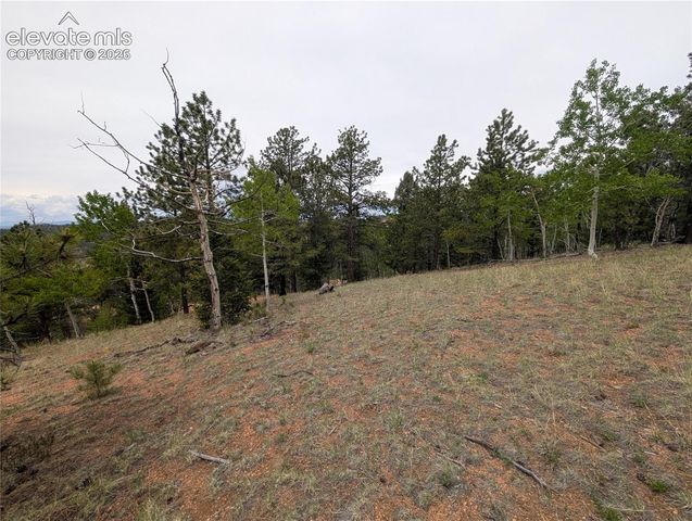 16 Princess Lane, Cripple Creek, CO 80813