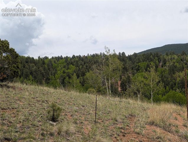 16 Princess Lane, Cripple Creek, CO 80813