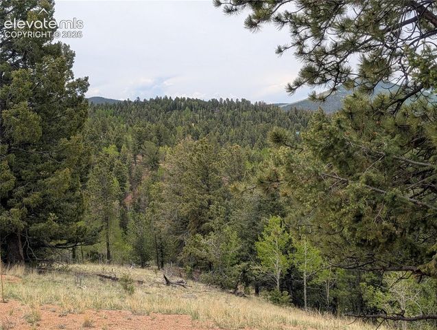 16 Princess Lane, Cripple Creek, CO 80813