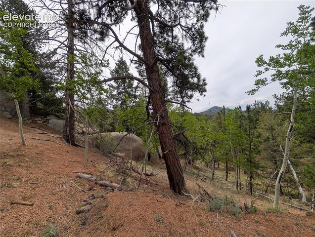 16 Princess Lane, Cripple Creek, CO 80813