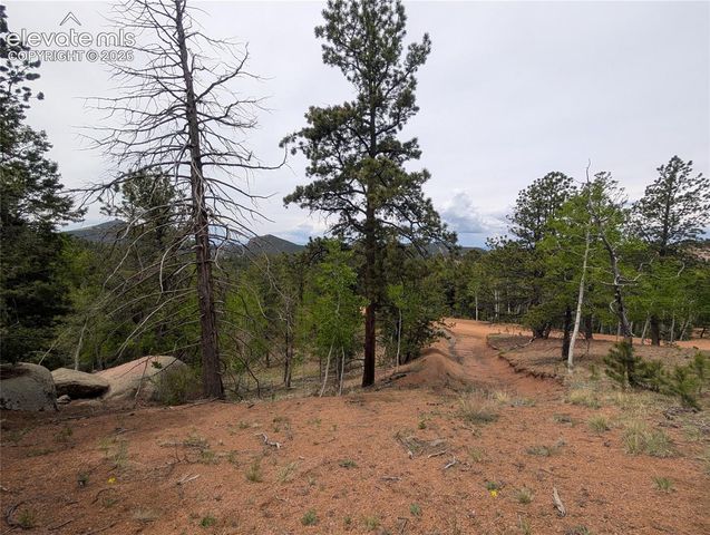 16 Princess Lane, Cripple Creek, CO 80813