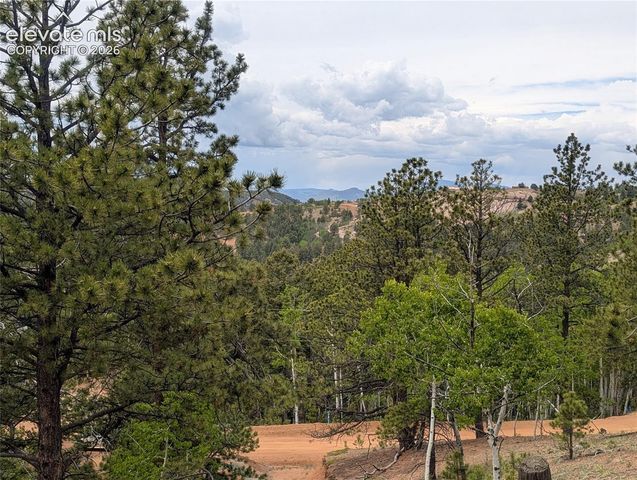 16 Princess Lane, Cripple Creek, CO 80813