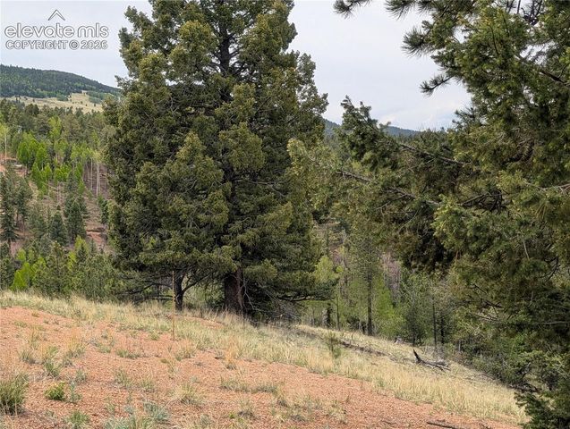 16 Princess Lane, Cripple Creek, CO 80813