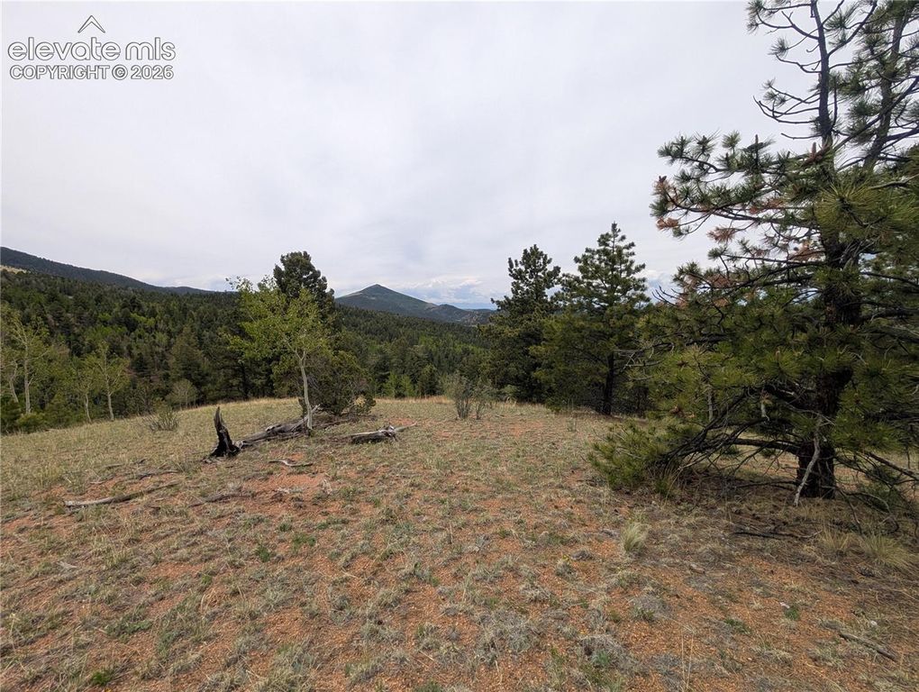 16 Princess Lane, Cripple Creek, CO 80813