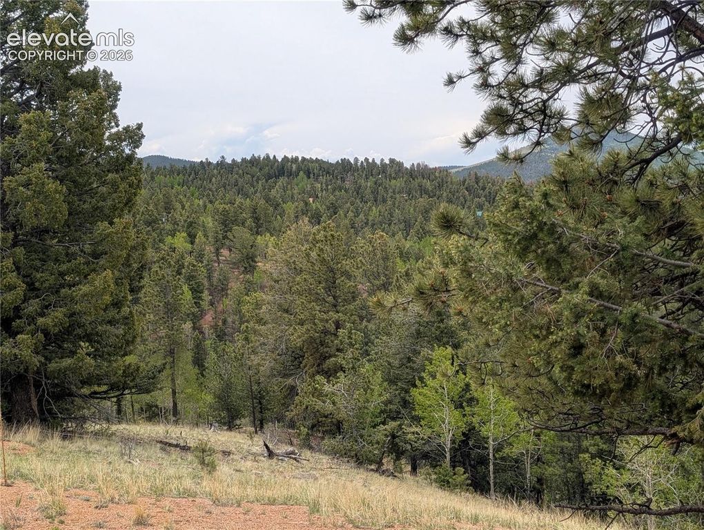 16 Princess Lane, Cripple Creek, CO 80813 — photo 4