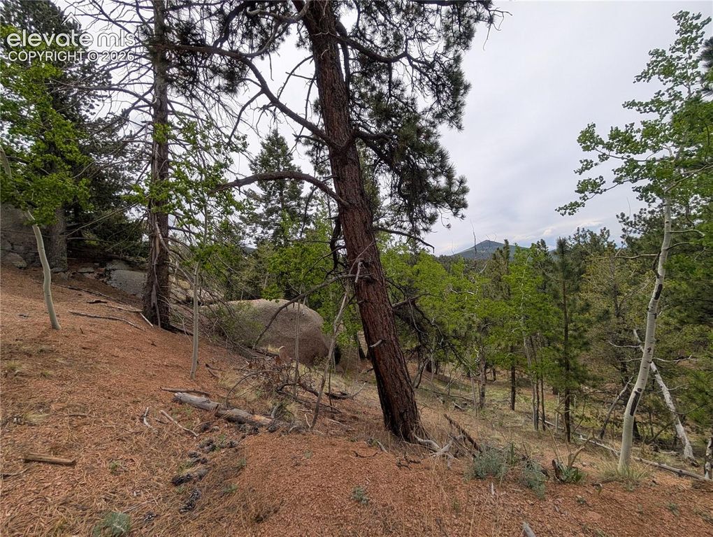 16 Princess Lane, Cripple Creek, CO 80813 — photo 5