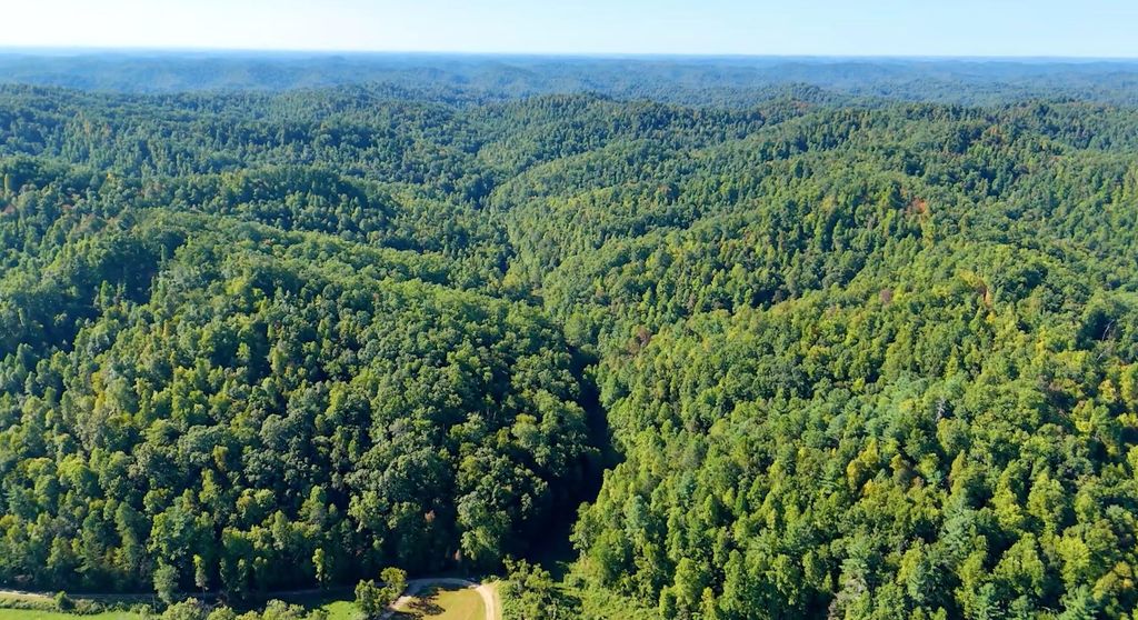 TBD Banks Fork Road, Campton, KY 41301