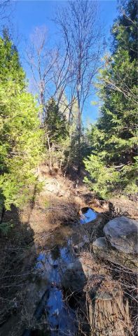 0 MEADOW, Lake Arrowhead, CA 92352