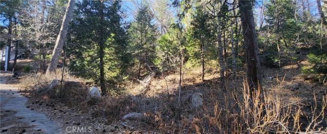 0 MEADOW, Lake Arrowhead, CA 92352