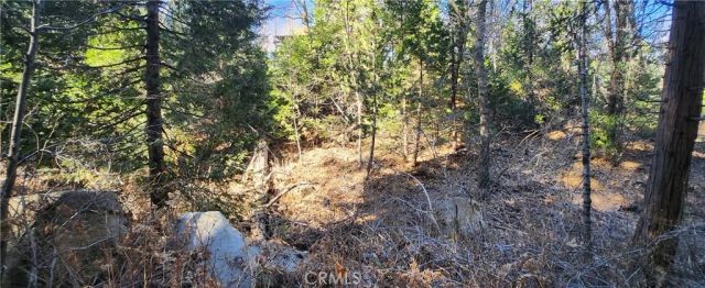 0 MEADOW, Lake Arrowhead, CA 92352