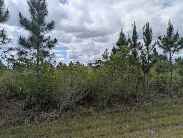 ALTHEA DRIVE, Indian Lake Estates, FL 33855