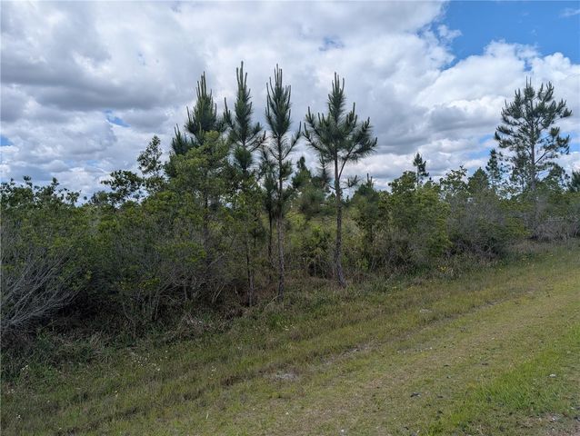 ALTHEA DRIVE, Indian Lake Estates, FL 33855