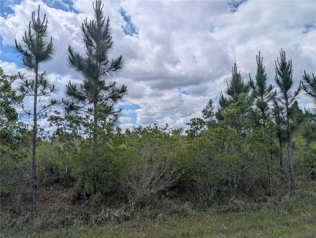 ALTHEA DRIVE, Indian Lake Estates, FL 33855