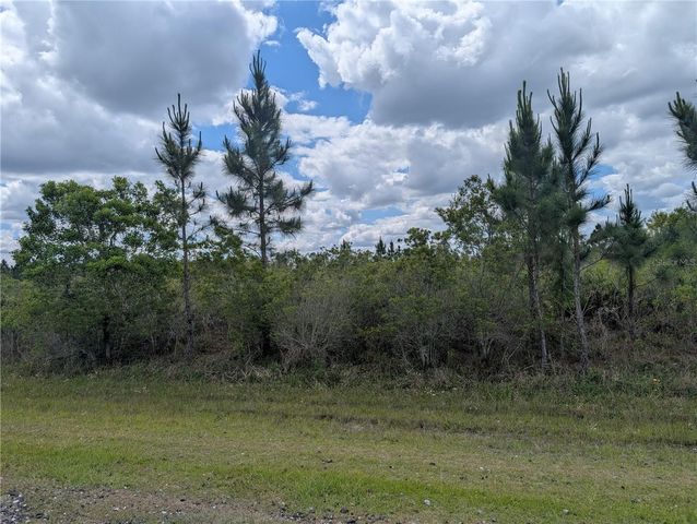 ALTHEA DRIVE, Indian Lake Estates, FL 33855