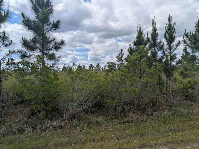 ALTHEA DRIVE, Indian Lake Estates, FL 33855