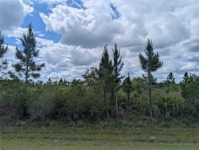 ALTHEA DRIVE, Indian Lake Estates, FL 33855