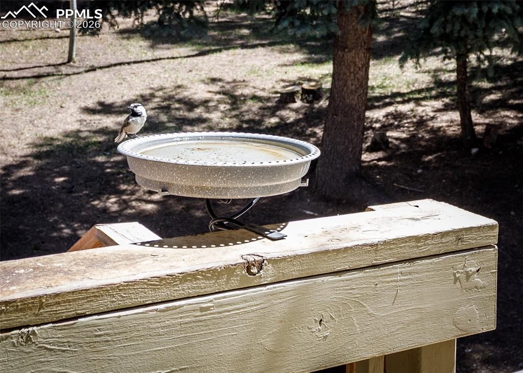 Image 21 of property listing at 2873 Sunnywood Avenue, Woodland Park, CO 80863