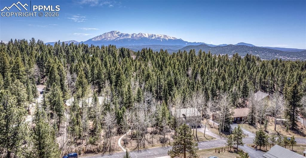 Image 48 of property listing at 2873 Sunnywood Avenue, Woodland Park, CO 80863