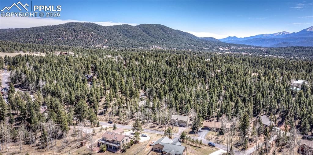 Image 50 of property listing at 2873 Sunnywood Avenue, Woodland Park, CO 80863