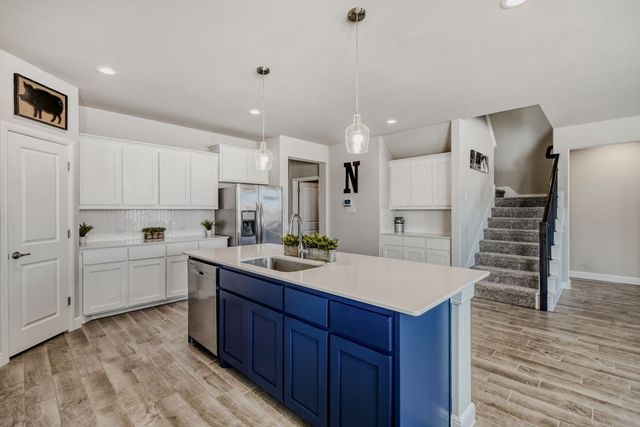 4124 Herdsman Drive, Krum, TX 76249