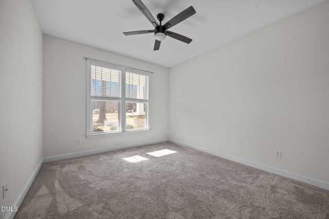 13204 Brantley Woods Road, Zebulon, NC 27597