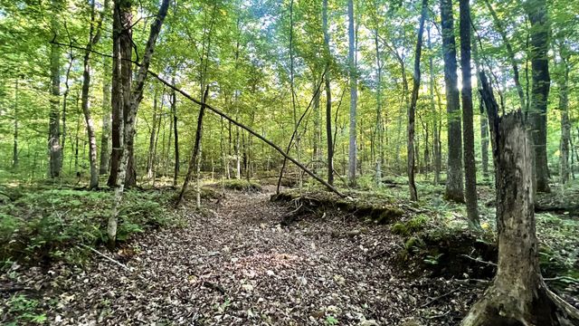 0 Seven Mile Ridge Rd, Indian Mound, TN 37079