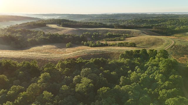 0 Seven Mile Ridge Rd, Indian Mound, TN 37079